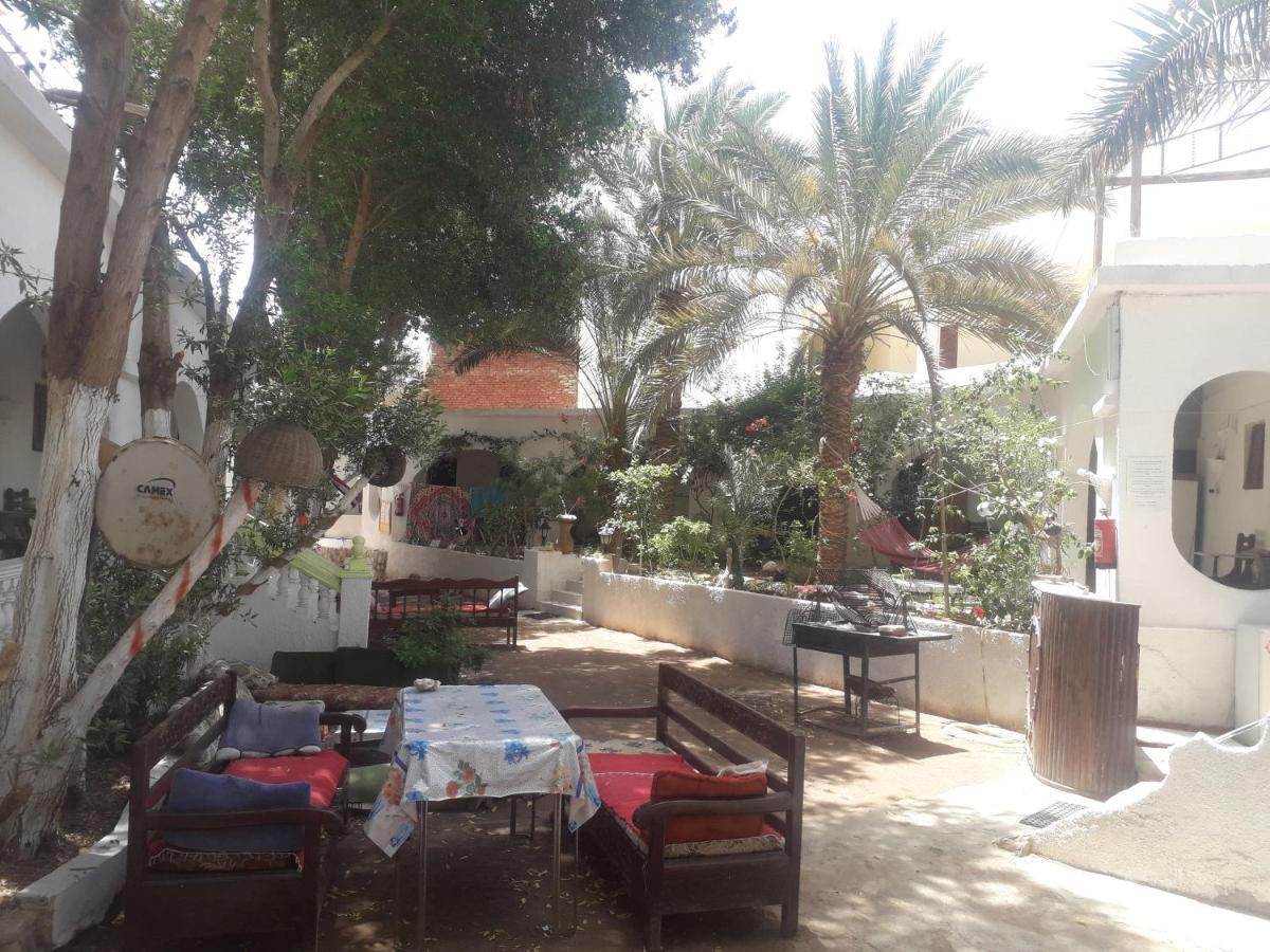 Fighting Kangaroo Camp Hotel Dahab Bagian luar foto