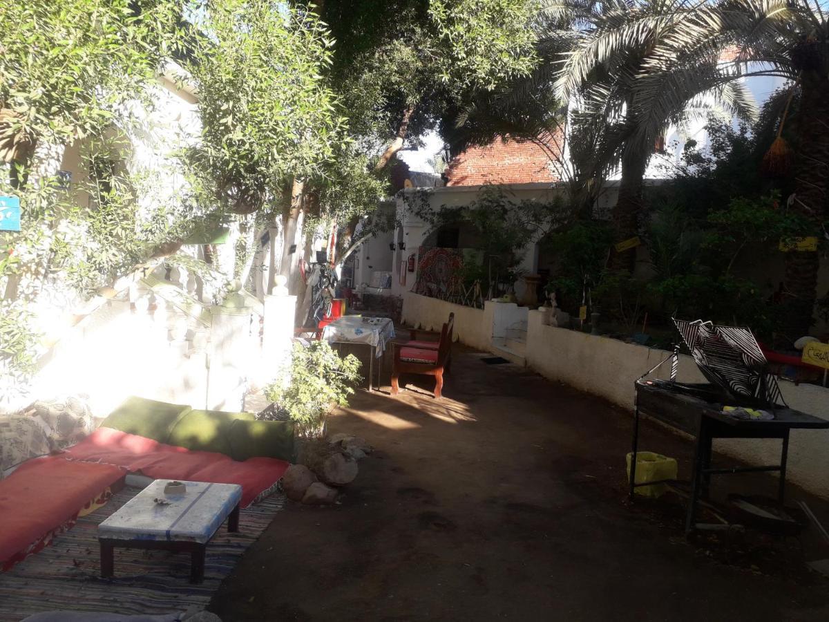 Fighting Kangaroo Camp Hotel Dahab Bagian luar foto