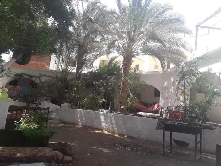 Fighting Kangaroo Camp Hotel Dahab Bagian luar foto