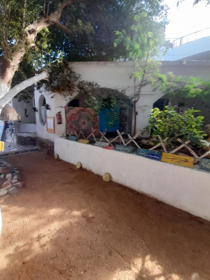 Fighting Kangaroo Camp Hotel Dahab Bagian luar foto
