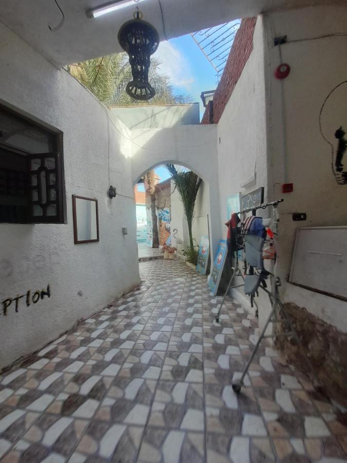 Fighting Kangaroo Camp Hotel Dahab Bagian luar foto