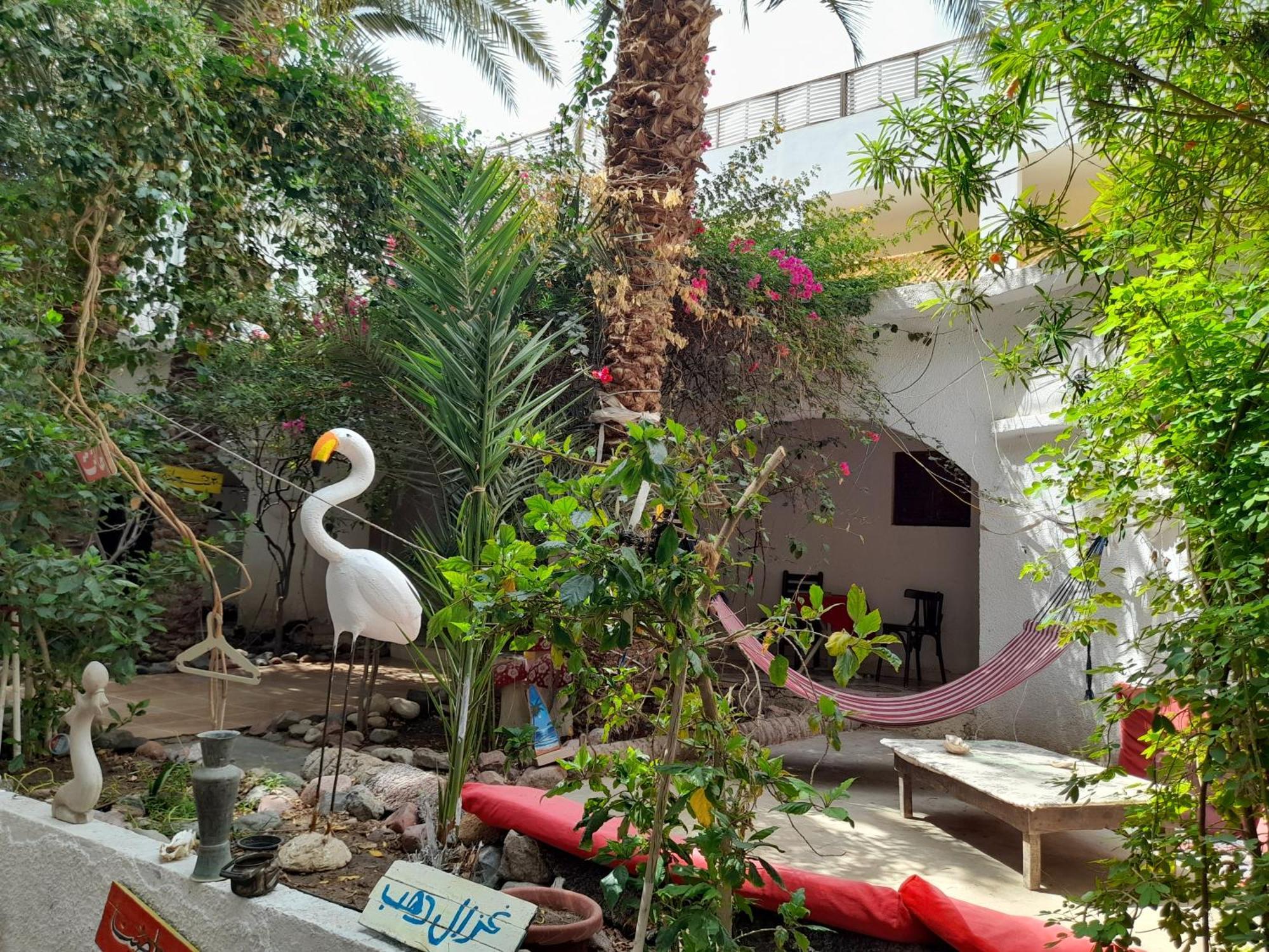 Fighting Kangaroo Camp Hotel Dahab Bagian luar foto