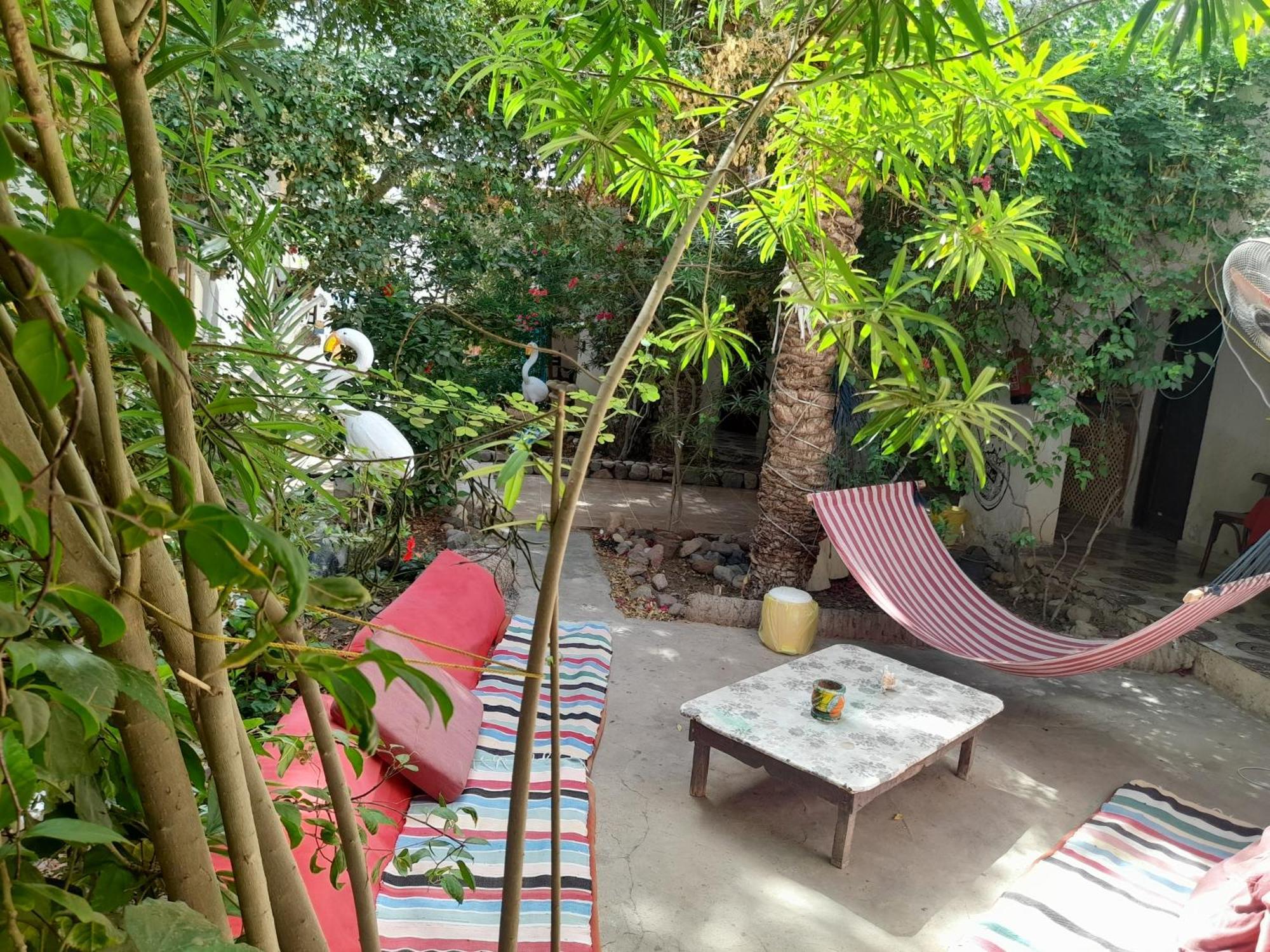 Fighting Kangaroo Camp Hotel Dahab Bagian luar foto